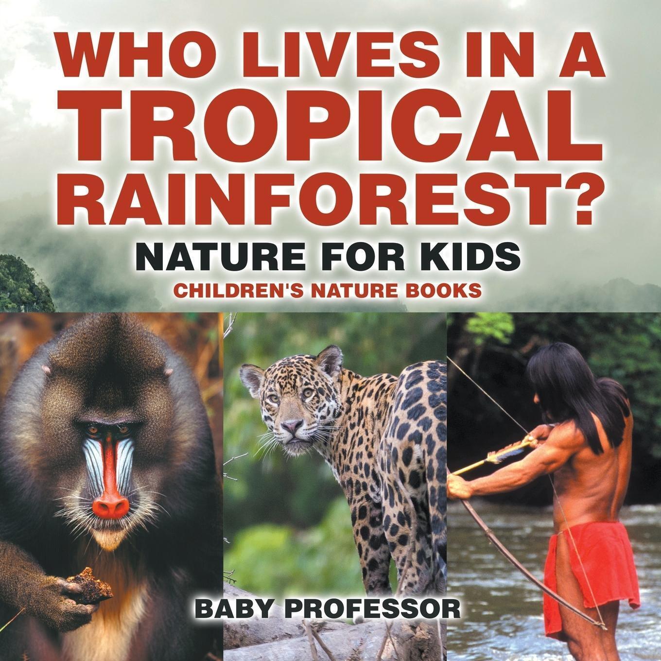 Thumbnail - Who Lives In A Tropical Rainforest? Nature For Kids Children's Nature