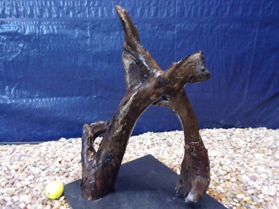 X-Large Driftwood Mounted on Slate 18''x13''x08'' Aquarium Reptile Natural Art