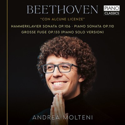 Andrea Molteni - Beethoven: Con alcune licenze [Used Very Good CD]