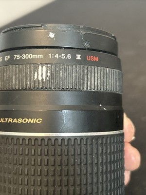 Buy Canon EF 75-300mm f/4.0-5.6 IS USM Lens online | eBay