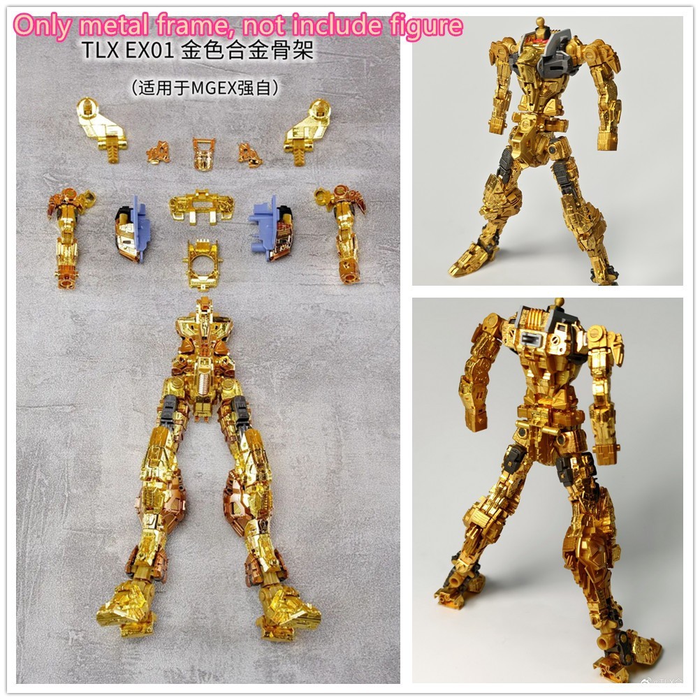 TLX model EX01 reinforced metal frame modified for 1/100 MGEX