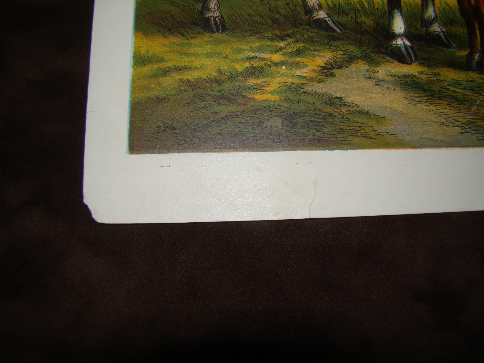 Picture 3 of 6