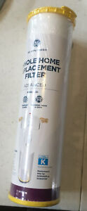 GE Appliances #FTHTM Water Filtration Advanced Whole Home Filter K Type