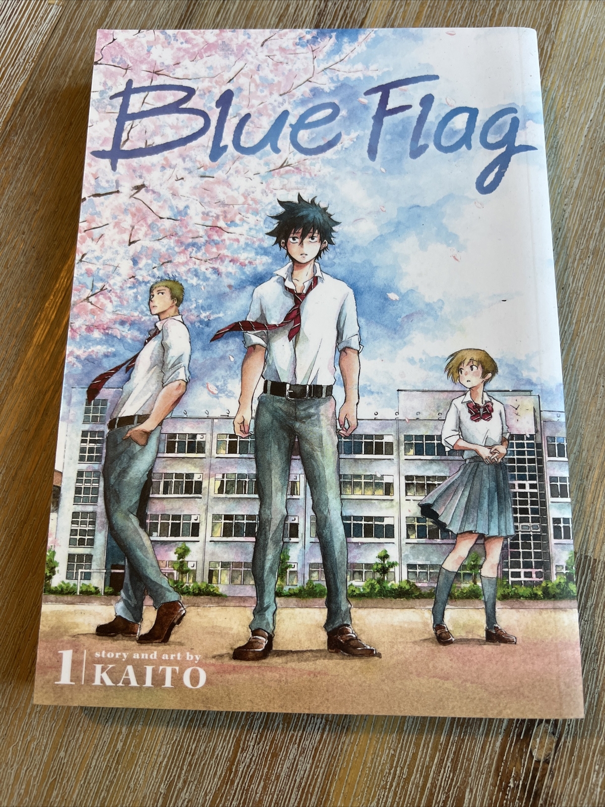 Blue Flag, Vol. 1 by KAITO (Paperback, 2020)