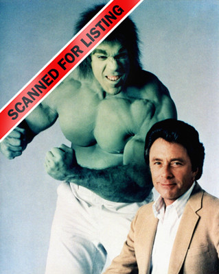 Lou Ferrigno & Bill Bixby INCREDIBLE HULK TV show 8X10 Photo #7681 | eBay
