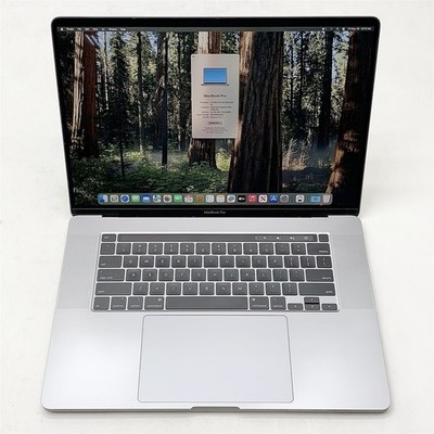 Apple MacBook Pro 16,1 A2141 2019 i9 9880H 2.30GHZ 16'' 32GB RAM 1TB OSX Sequoia