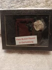 14 CIVIL WAR CHEWED PAIN LEAD BULLETS