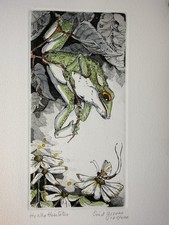 Enid Groves Etching Limited Edition 125/400 He Who Hesitates Frog Dragon Fly