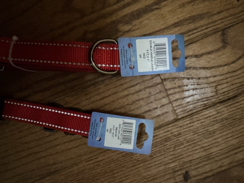 Max & Neo Nylon Buckle Reflective Dog Medium Collar & 6ft Leash - Red