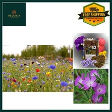 UK Wildflower Seed Mix Attracts Bees & Butterflies 10g Annual & Perennial Meadow 2499.00 per kilo