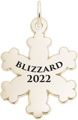 Blizzard Snowflake Charm Rembrandt 10K or 14K Gold or 925 Silver Limited  Edition