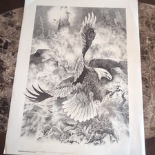 Vintage Timberline Bald Eagle 26 X 18 1982 Bill Oneal Print