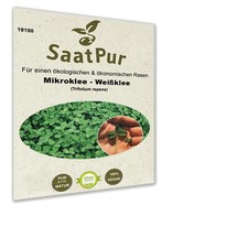 Saatgut Mikroklee Pipolina 250 g Rasenklee für ca. 125 m² Weiß Klee Rasen Micro