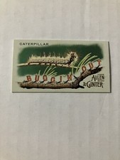 2020 Topps Allen & Ginter's Buggin' Out! Minis Caterpillar #MBO-18