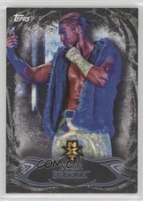 2015 Topps WWE Undisputed NXT Prospects Black 87/99 Tyler Breeze #NXT12 2o7
