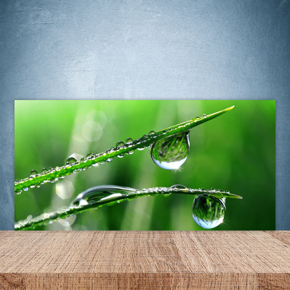 Crédence de cuisine en verre 100x50 cm motif herbe et rosée