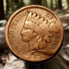 1904 Indian Head Cent Actual Coin Shown - 9