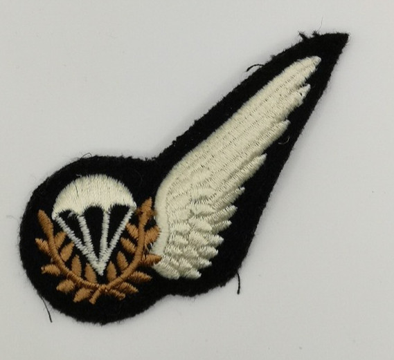 Parachute Training Instructor Qualification RAF R… - image 1