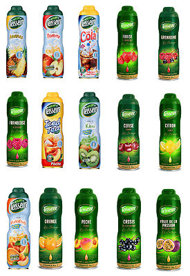 Teisseire Sirup 600 ml Fruchtsirup verschiedene Sorten