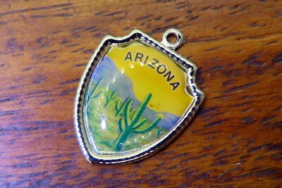 Vintage sterling silver ARIZONA STATE CACTUS MOUNTAINS TRAVEL SHIELD charm 21-10