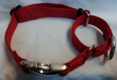 martingale collar with metal buckle