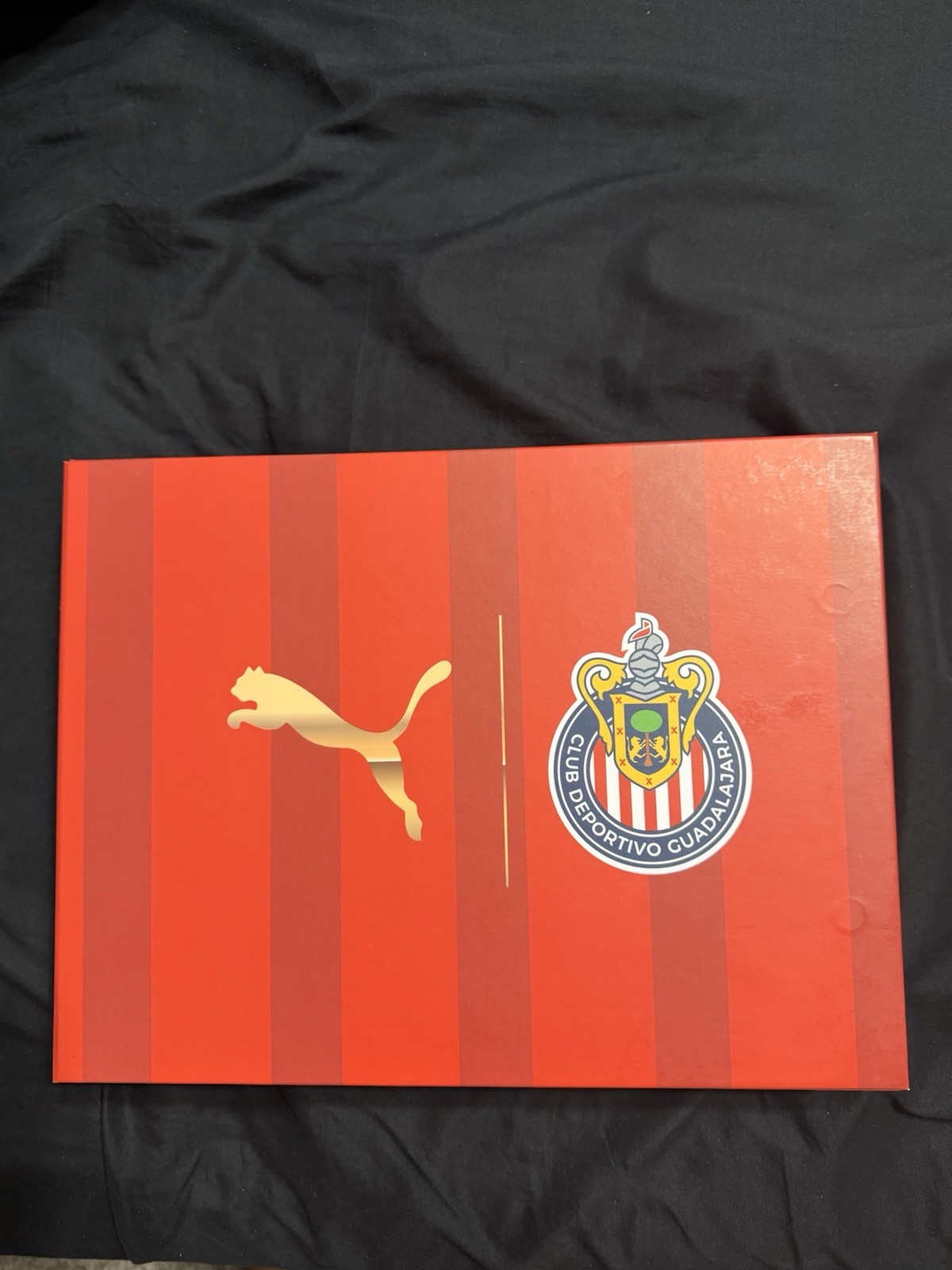 Chivas Del Guadalajara 120 Años Soccer Jersey Sz L Puma Limited Edition Numbered