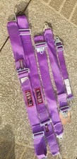 USED RJS RACING SFI 16.1 LATCH & LINK ROLL BAR MOUNT HARNESS PURPLE EXPIRED DATE