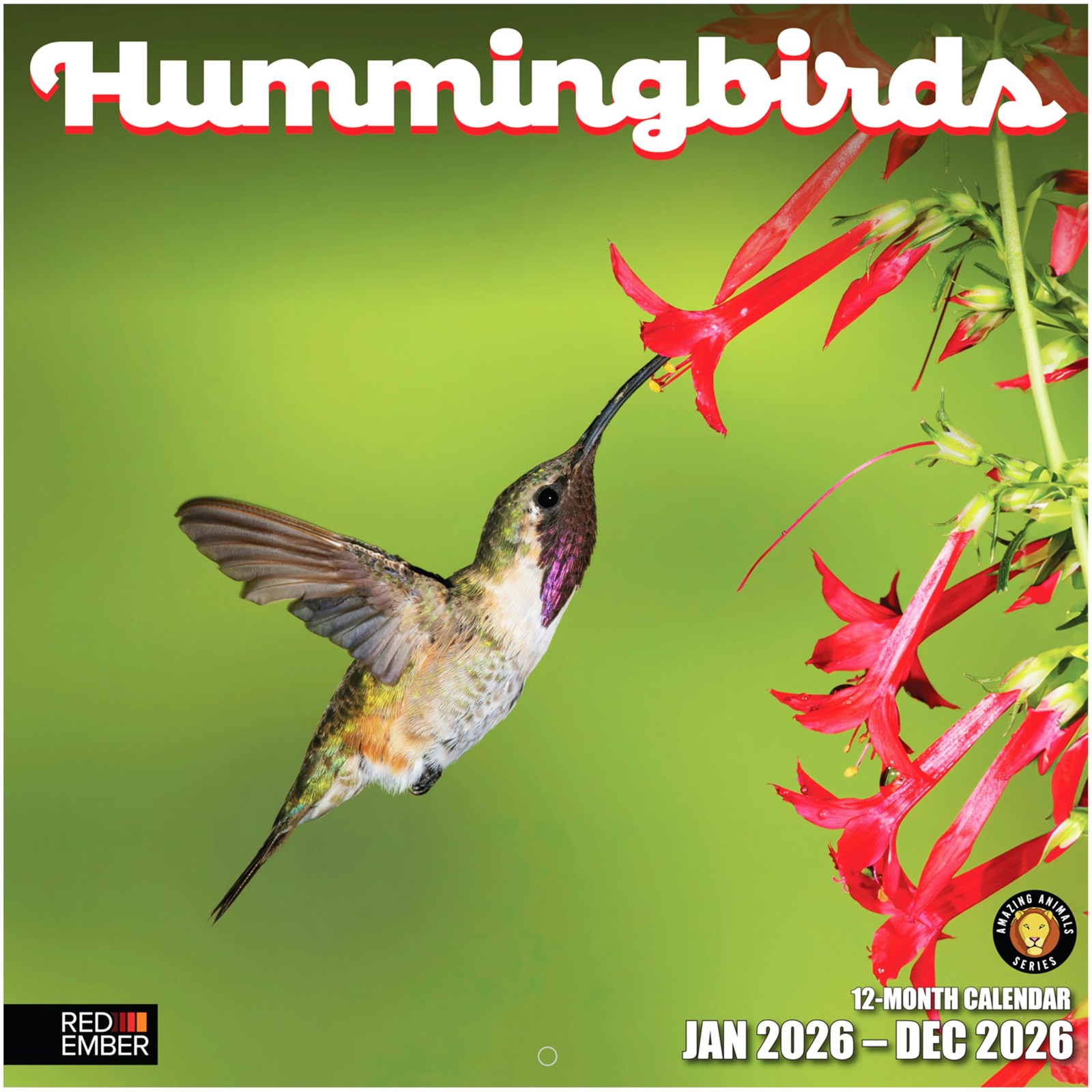 Hummingbirds 2026 Wall Calendar 12 Month | 12" x 24" Open | Thick & Sturdy Pa...