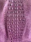 Genuine Wild Alligator Hornback Professionally Tanned — photo 2