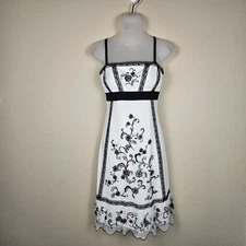Ann Taylor Loft Lace Embroidered Tulle Dress Womens 4 Party Coquette Romantic