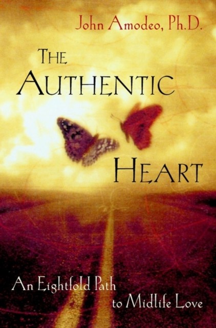 The Authentic Heart by John Amodeo PAPERBACK 9780471387572