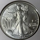 2025 American Silver Eagle Eagle Privy (P) *1031