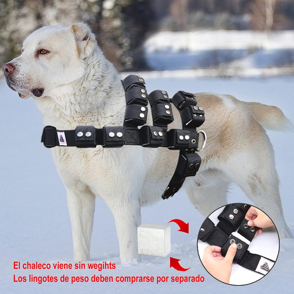 Dog Harness for Small Medium Large Dogs No Pull, Dog Weighted Vest, Tactical Dog eBay