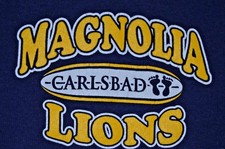 VTG 90s T-Shirt V Neck Magnolia Lions School Retro Black Womans L Made in USA