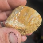 3 Pieces South Dakota Prairie Agate Rough, Lapidary Cabbing, 8.7oz Total — photo 4