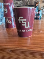 Florida State University FSU Seminoles Cerami...