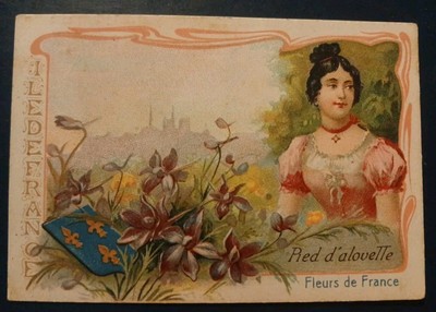 Chromo Île De France Red D'alouette Regionalism Armoirie Flowers Paris