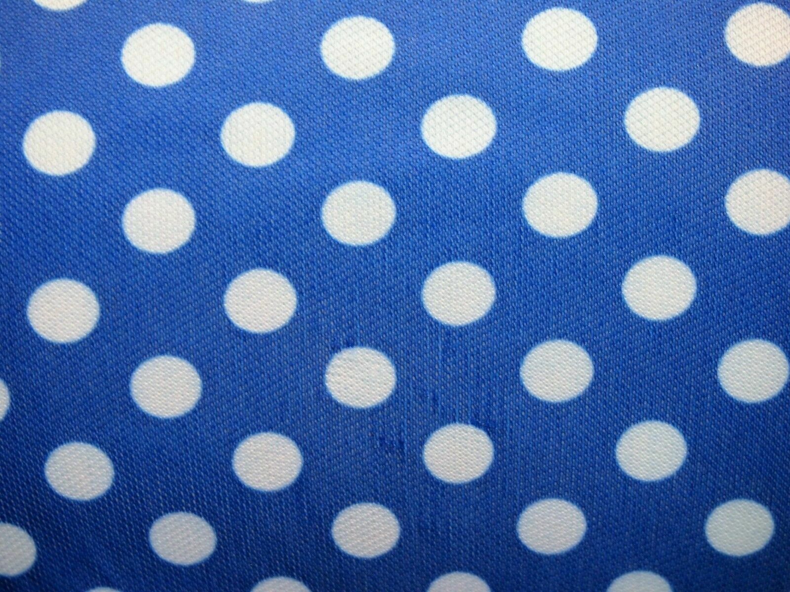 Foto 9 di 9