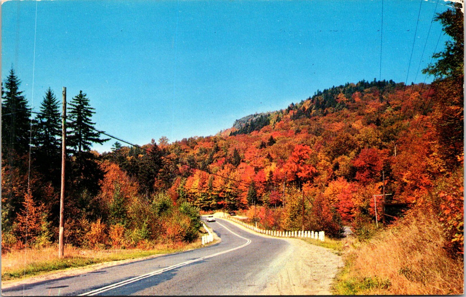 Postcard State Line Motel Service Station Greetings Kentucky D134