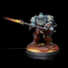 Pro Painted Warhammer 40k Grey Knights Terminator