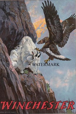Lynn Bogue Hunt - Winchester Golden Eagle Attack Rocky Mountain Goat 17x26 REPRO