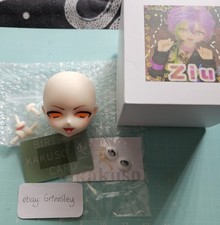 KakusoDoll BJD Doll Ziu Head Semi-white Resin with COA MDD Compatible MSD 1/4