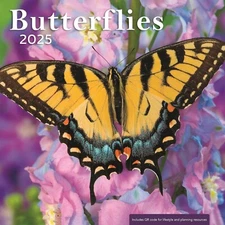 Butterflies 2025 Wall Calendar by DaySpring 12x12" Includes QR Code Lifestyle