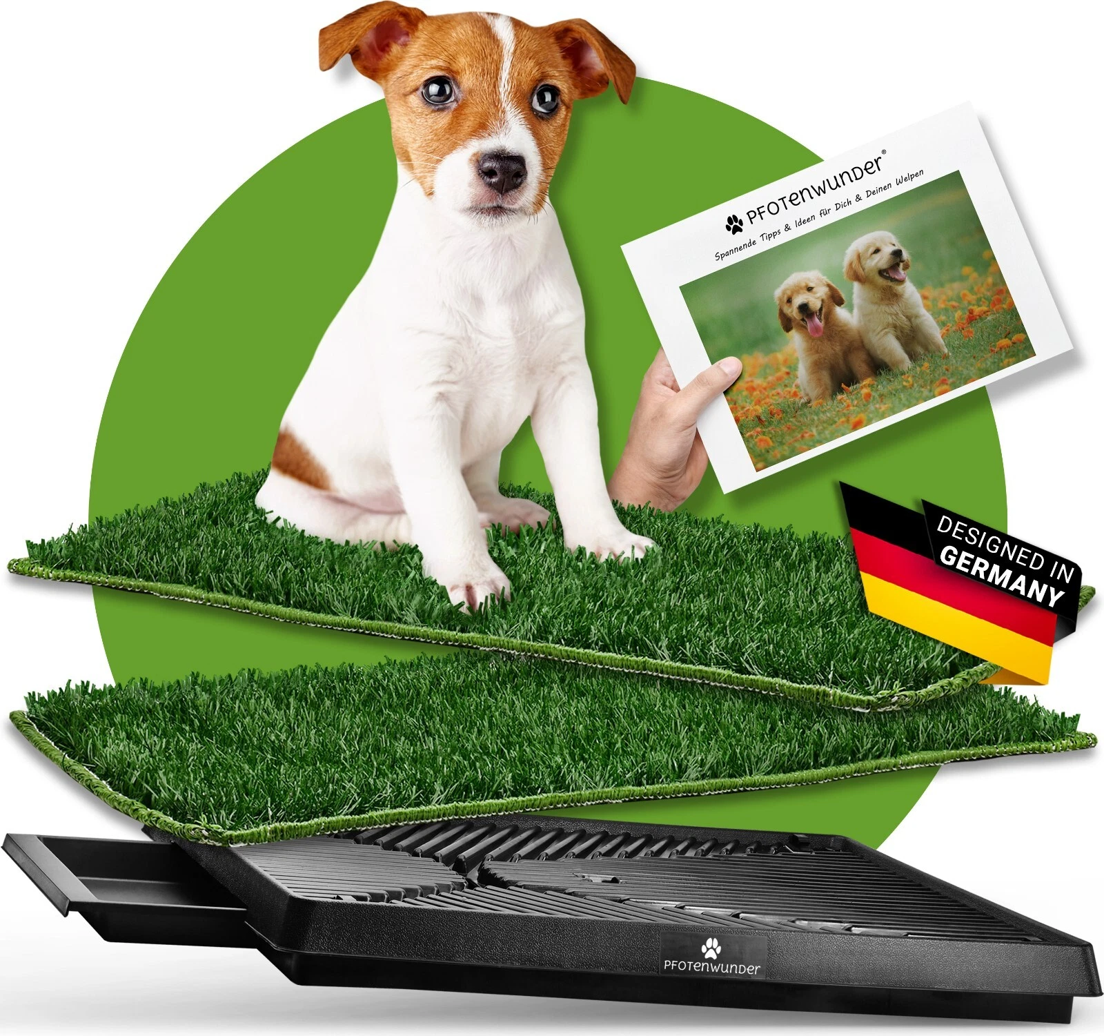 Bild 11 von 12