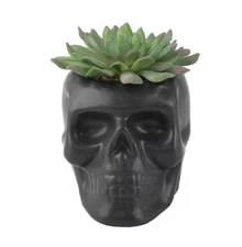 Flora Bunda Artificial Plant in Cute 4.5 in White Sugar Skull Novelty Planter