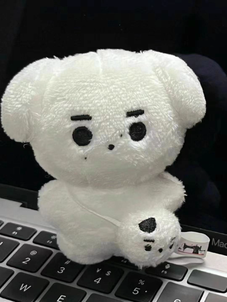 ENHYPEN PARK SUNGHOON JAKE DOLL MADE BY HOONDAENG IDOL PLUSH