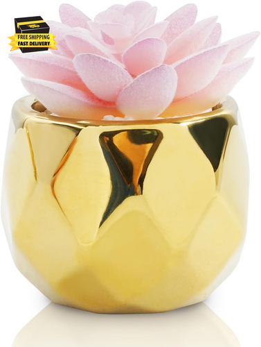 Mini Succulents Plants Artificial in Pots-Pink with Golden Ceramic, Christmas Sm