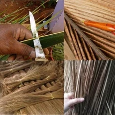 20 pcs COCONUT DRIED LEAF BROOM STICKS palm Fiber cleaning tool Teela Nariyal