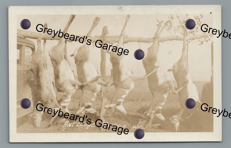 RPPC Antelope Hunting near BUFFALO WY Wyoming Vintage Real Photo Postcard