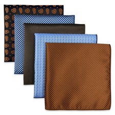 SHLAX WING 5 Pieces Assorted Mens Silk Pocket Square Handkerchiefs Set Lot 91